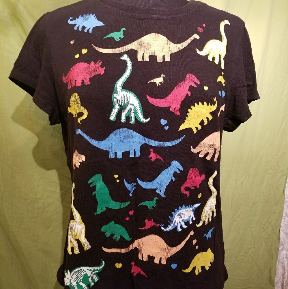 No Boundaries Juniors XXL 19 Dinosaur Tee